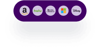 Company experience